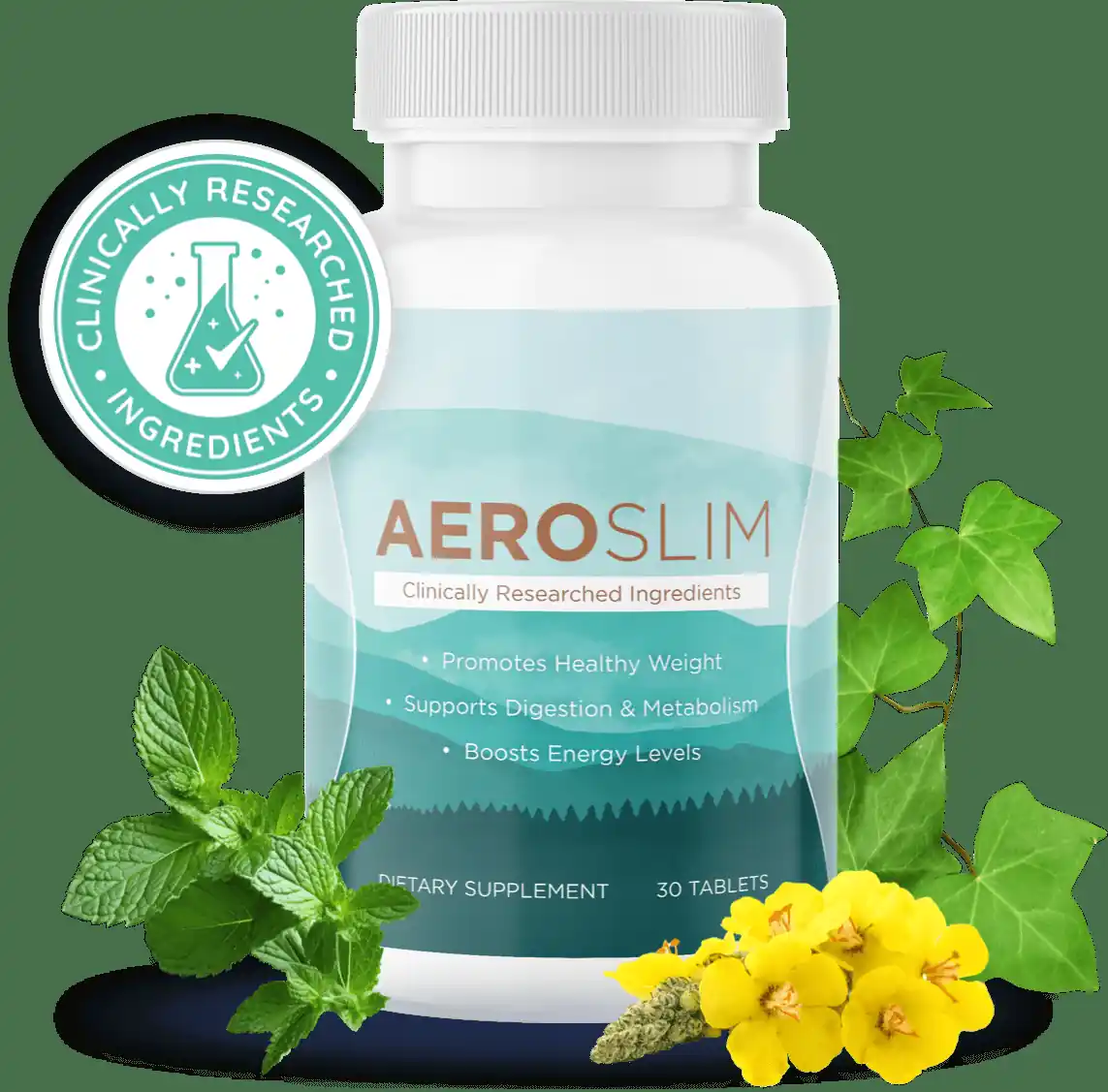 Aeroslim logo
